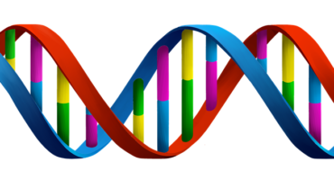 fita-de-dna-png-31