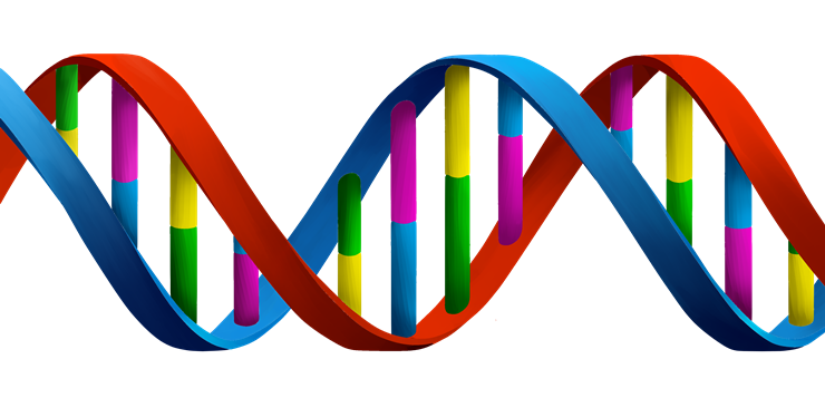 fita-de-dna-png-31